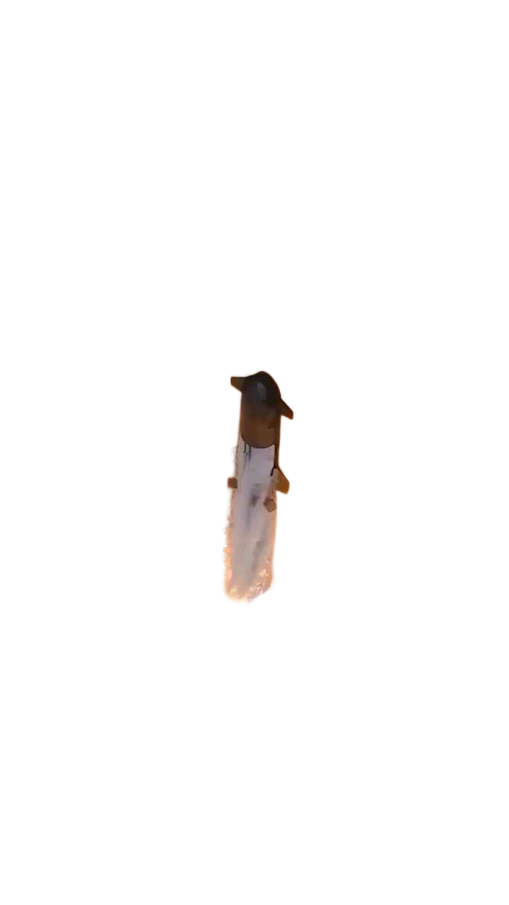 Atlantis