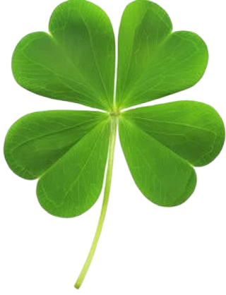 Clover