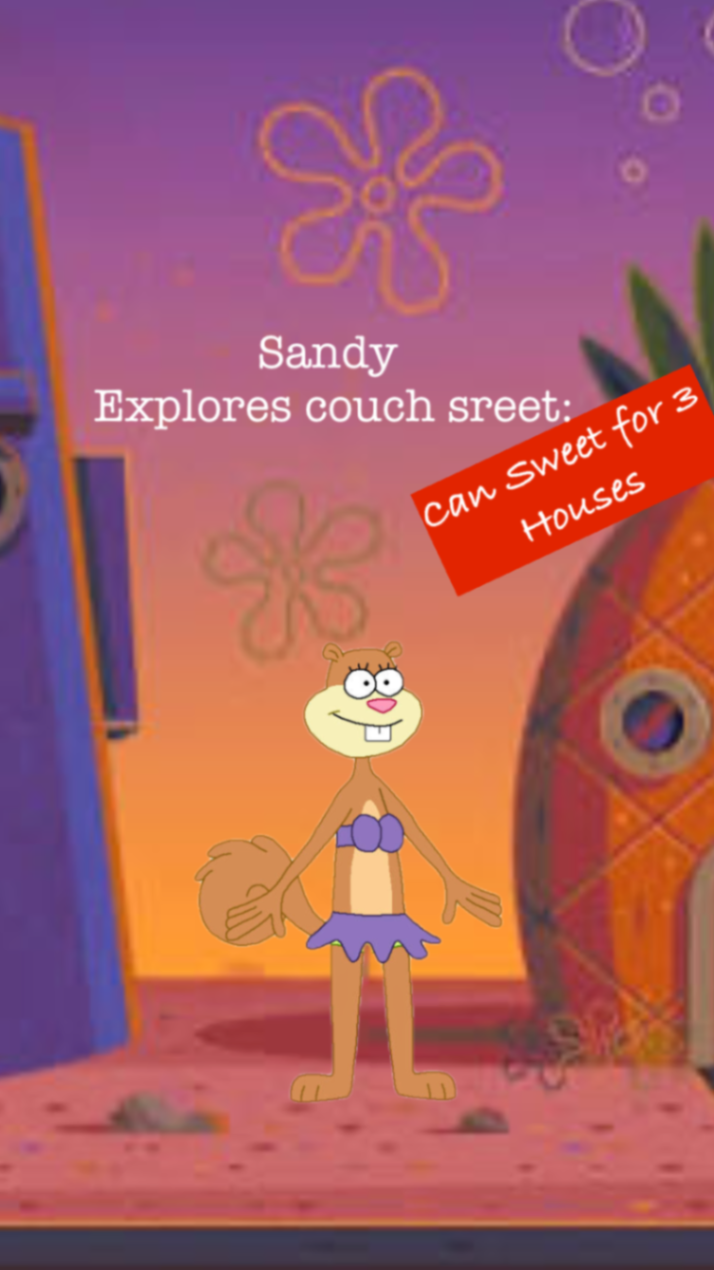 Sandy Explores couch sreet: Can Sweet for 3 Houses cover