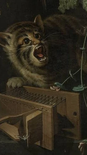 Wacky new artist cover