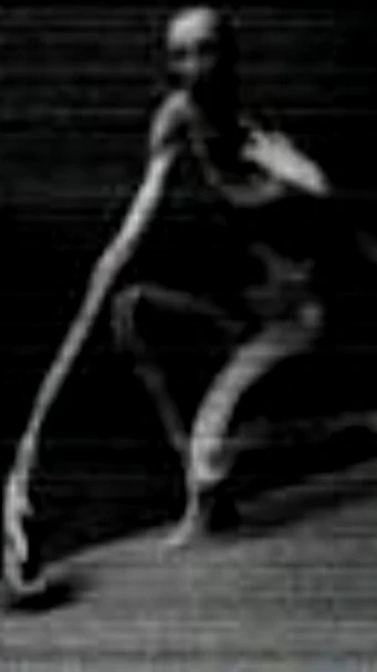SCP-087 The Endless Flight Of Stairs cover