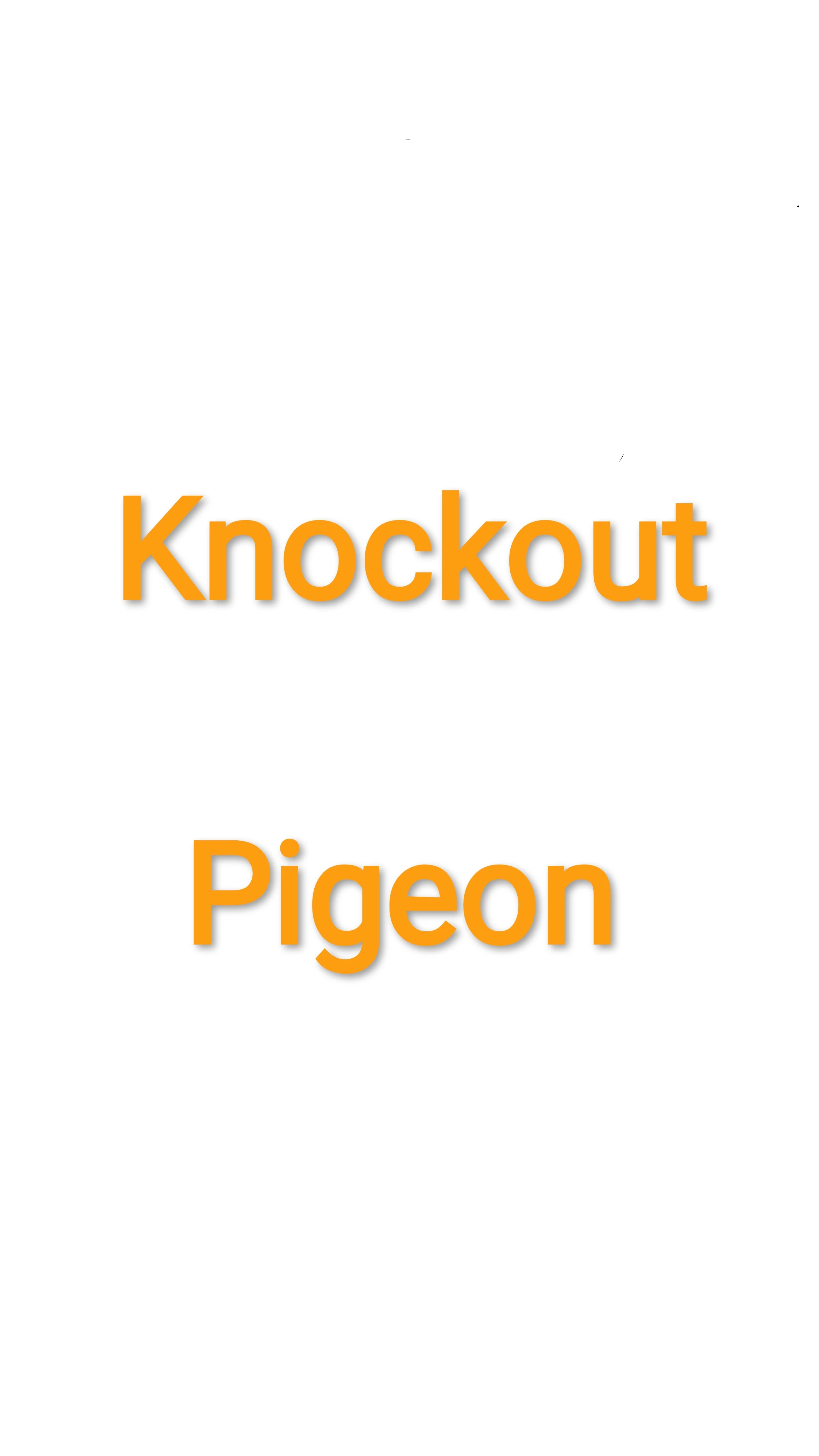 Knockout Pigeon