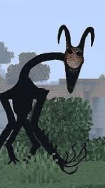Stalkers forest: Find Your Home cover