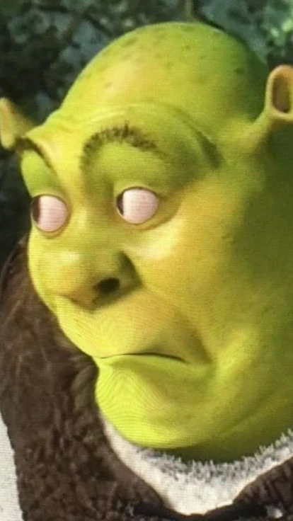 Fight with SHREK IN OHIO