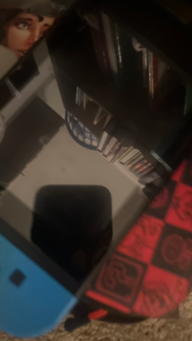Don't Touch My Switch