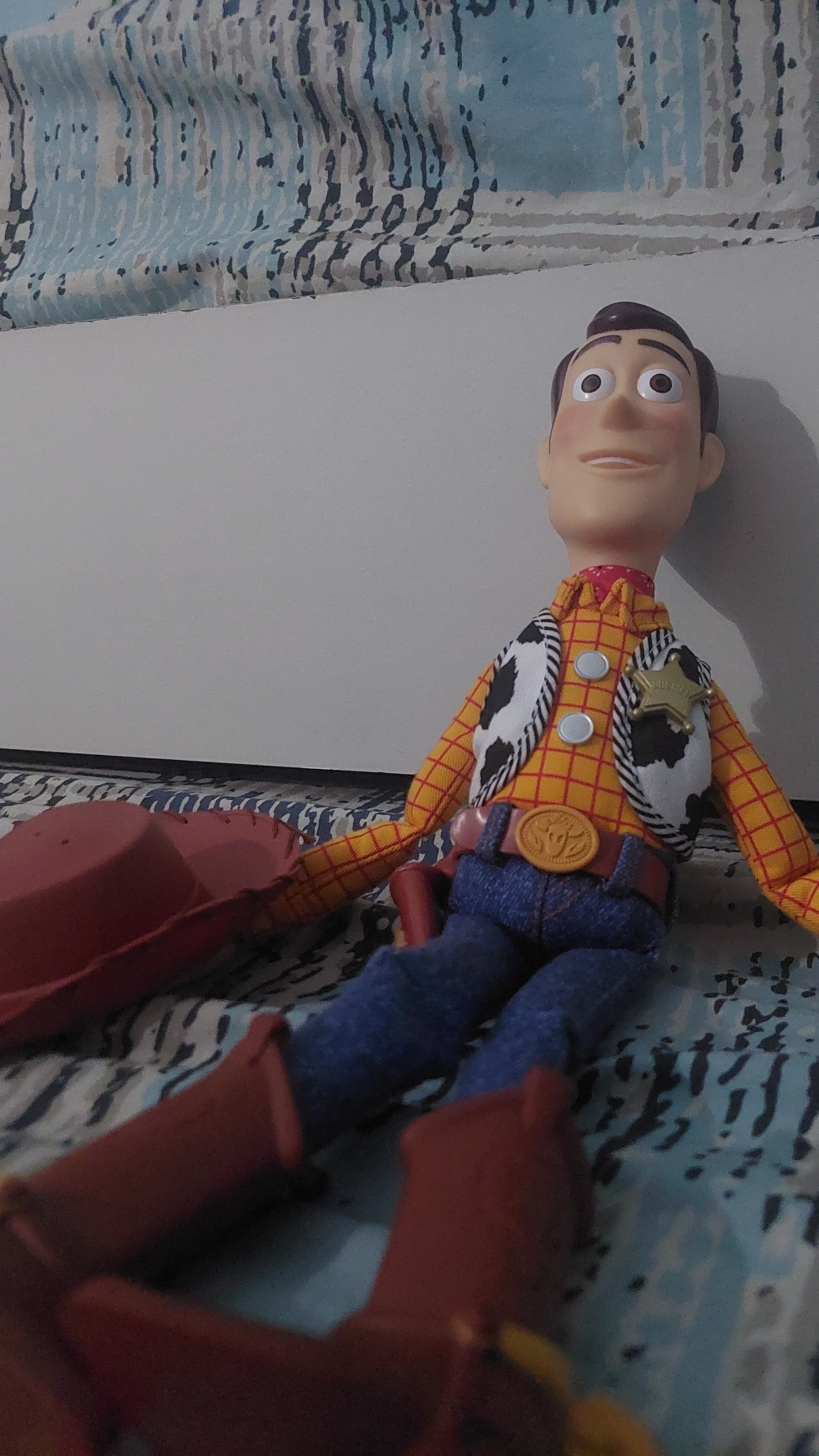 Woody Ragdoll Sandbox cover