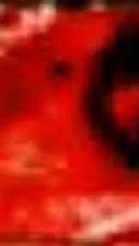 666666666666666666666666666666666666666666666666666666666666666666666666dddddddddddddddddddddddddddddddddddddddddddddddddddddddddddddddddddddddddddddd cover