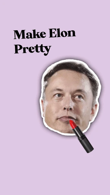 Make Elon Pretty cover