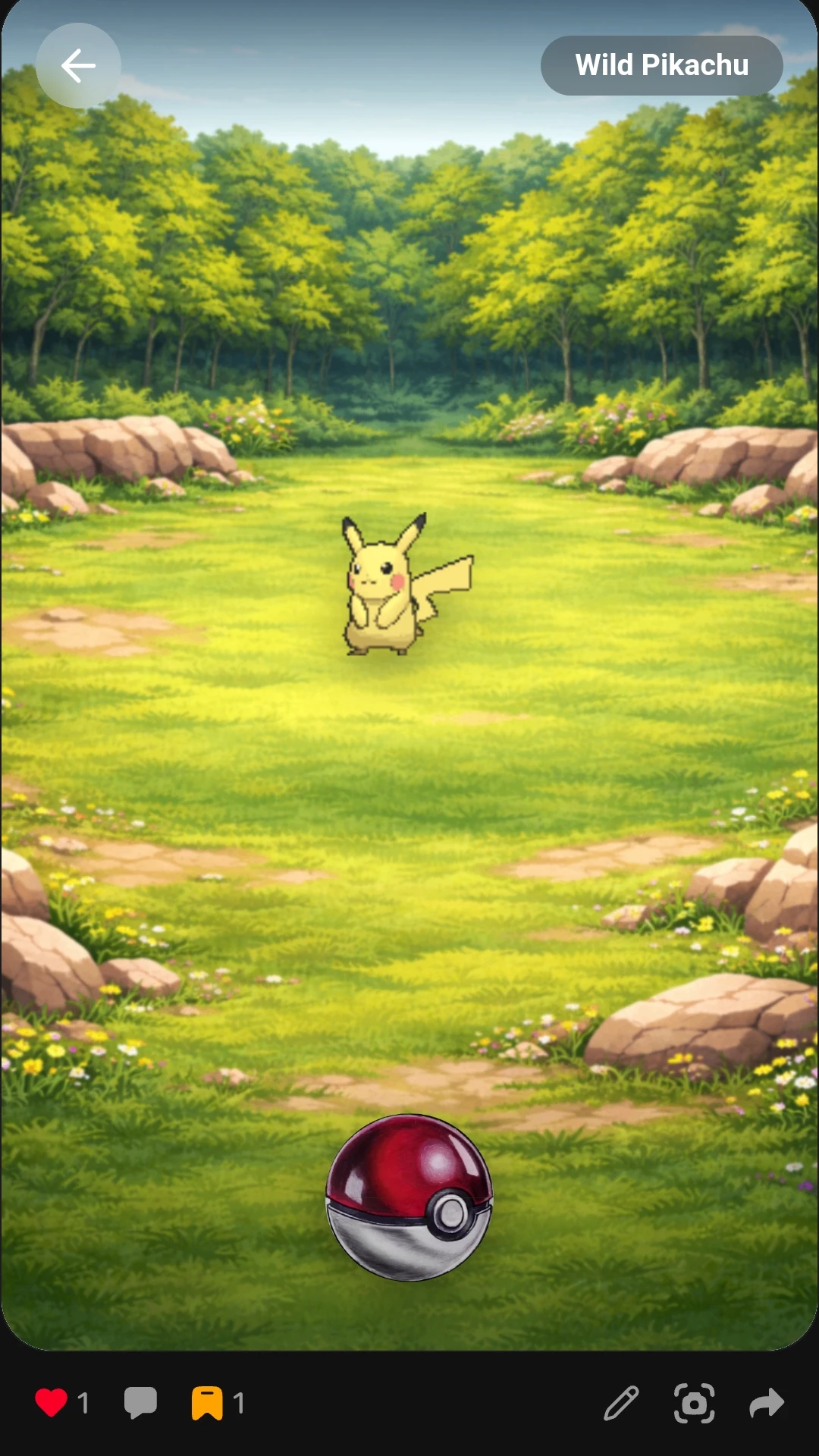 Pocket Catch Adventure