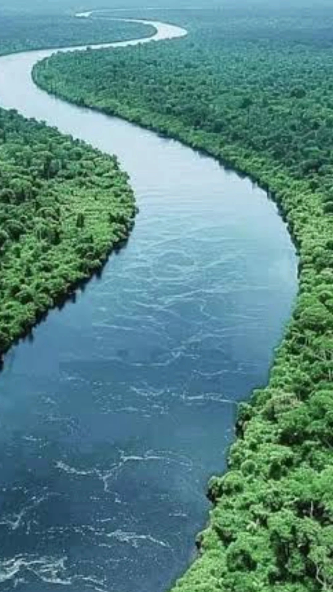 Amazon River