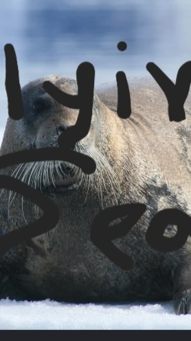 flying seal cover