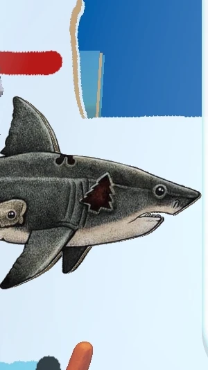 Shark Catch Fish simulator cover
