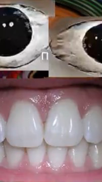 Crazy Chomp cover
