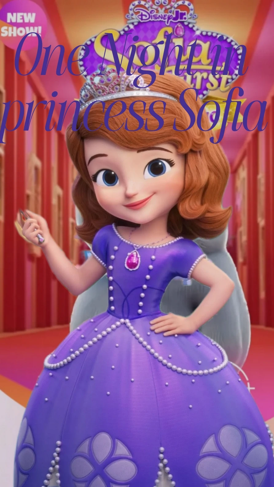 One Night at Princess Sofia New cover