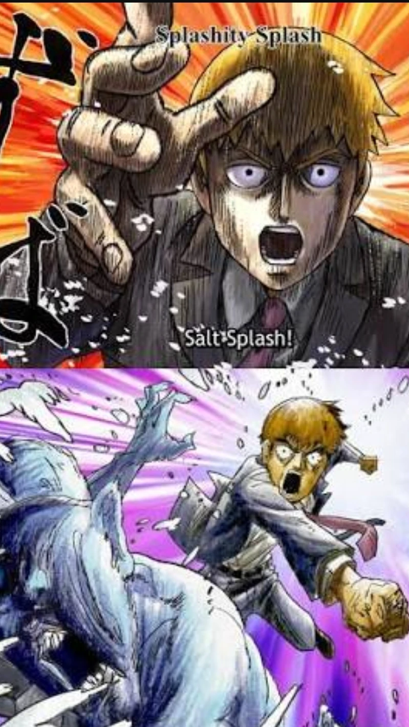 REIGEN SALT PUNCH SIMULATOR cover