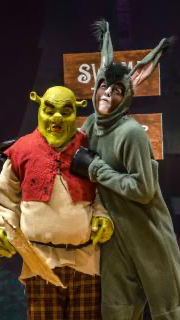 Talk to AI Shrek cover