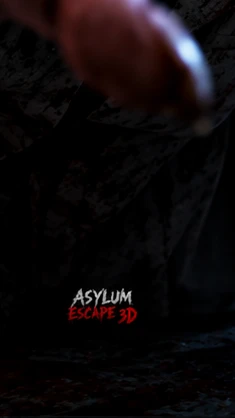 Asylum Escape 3D cover
