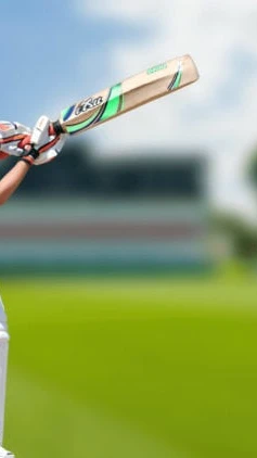Crazy Pro cricket