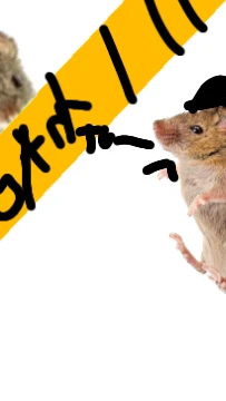 Gran Theft Mouse cover