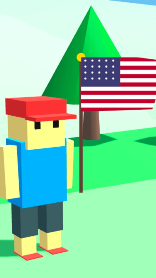 3D Flag Runner cover