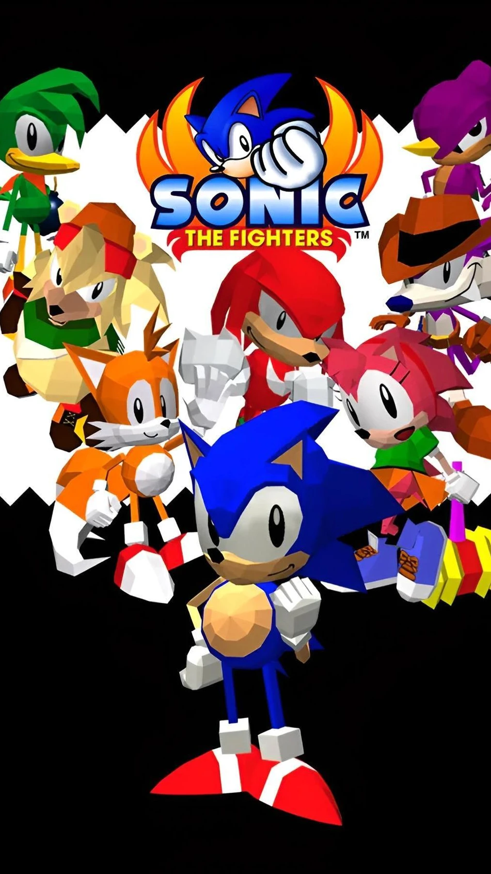 Sonic vs Metal Sonic: The Ultimate Race cover