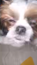 ????