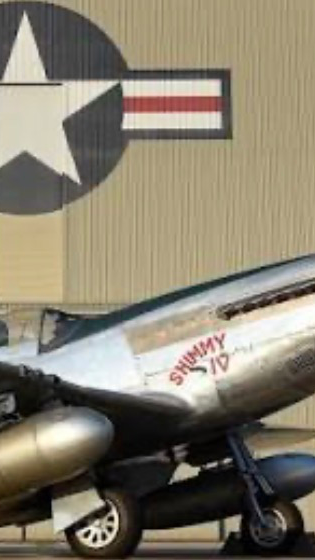 P-51 Mustang: Sky Duel cover