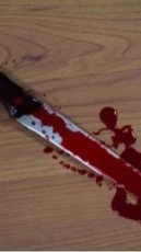 Escape from the killer 5: The Hunt