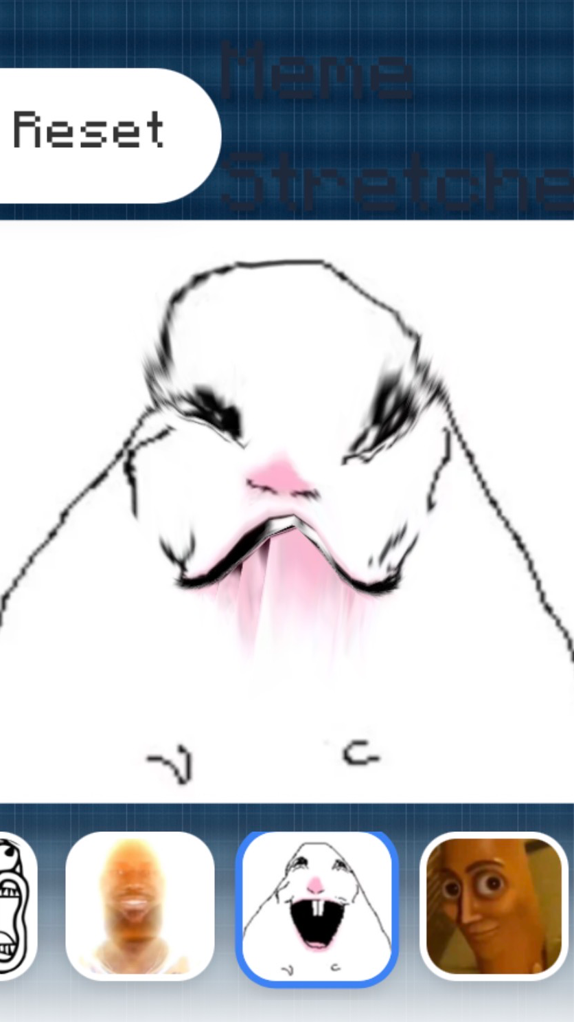 Meme Stretcher cover