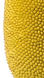 Fruitbot: Arena Chomp cover