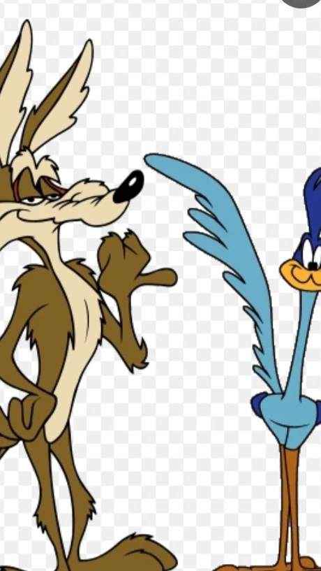 The ACME Rocket Chase : Wile E. Coyote Eats The roadrunner cover