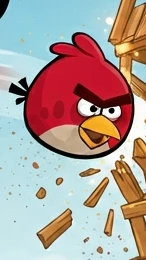 Angry Fowls cover