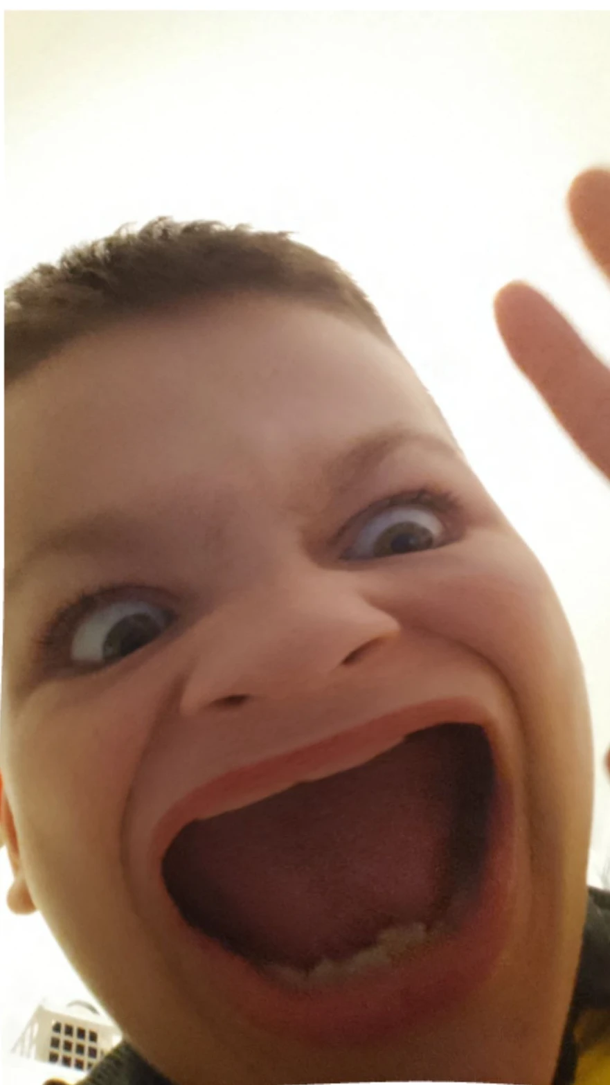 Meme Stretcher cover