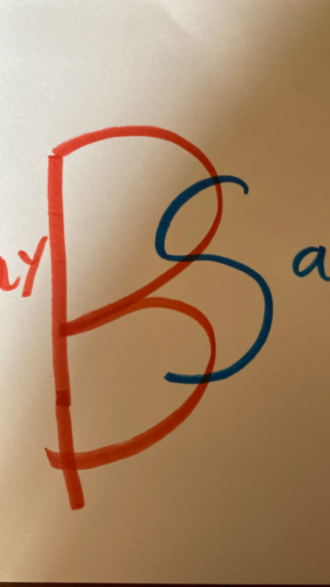 Baysafe-safe  social media