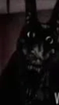 Two Nights at Stalker cover
