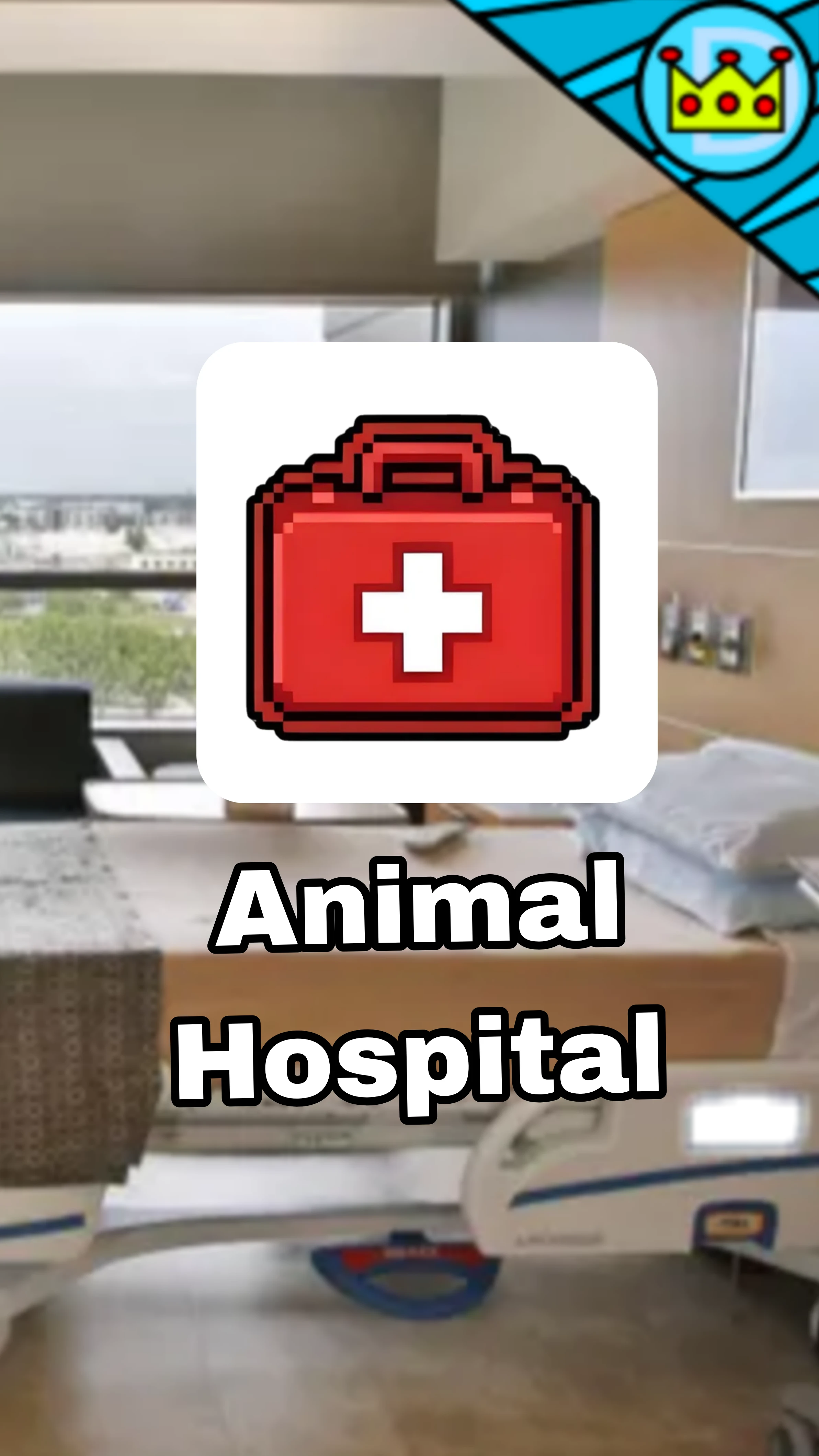 Animal Hospital: cover