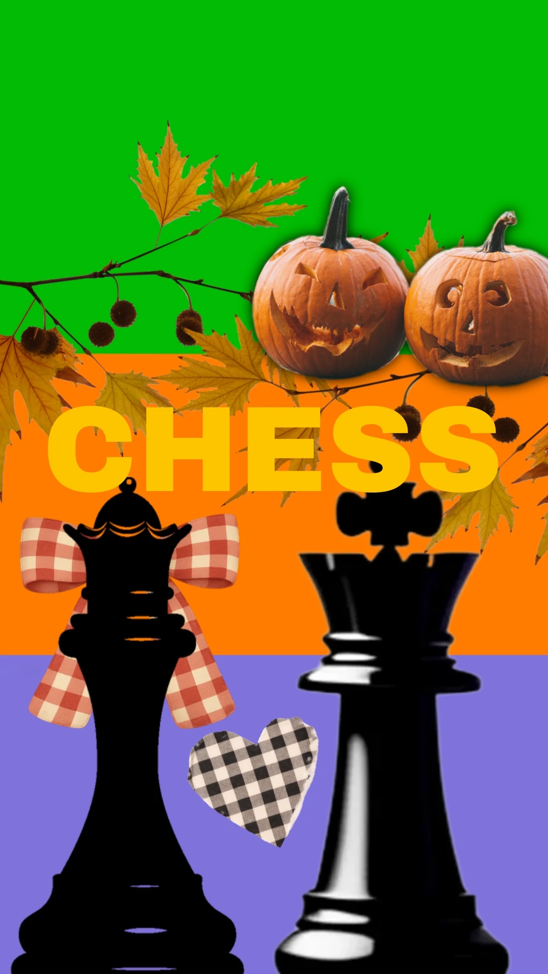 Chess cover