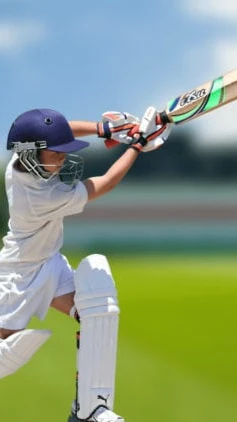 Pro cricket crazy