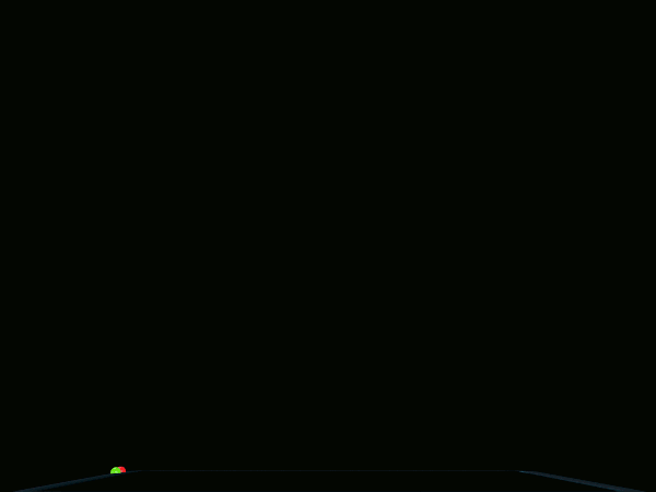 Camera Flip