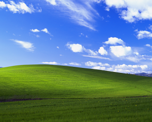 Bliss Background