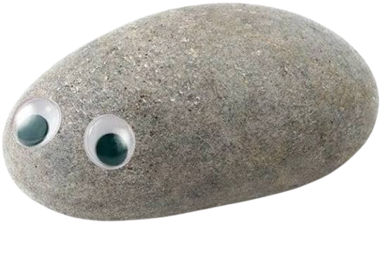 Pet Rock
