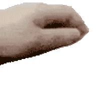 petting animation