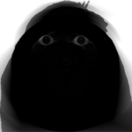 Reveal Image