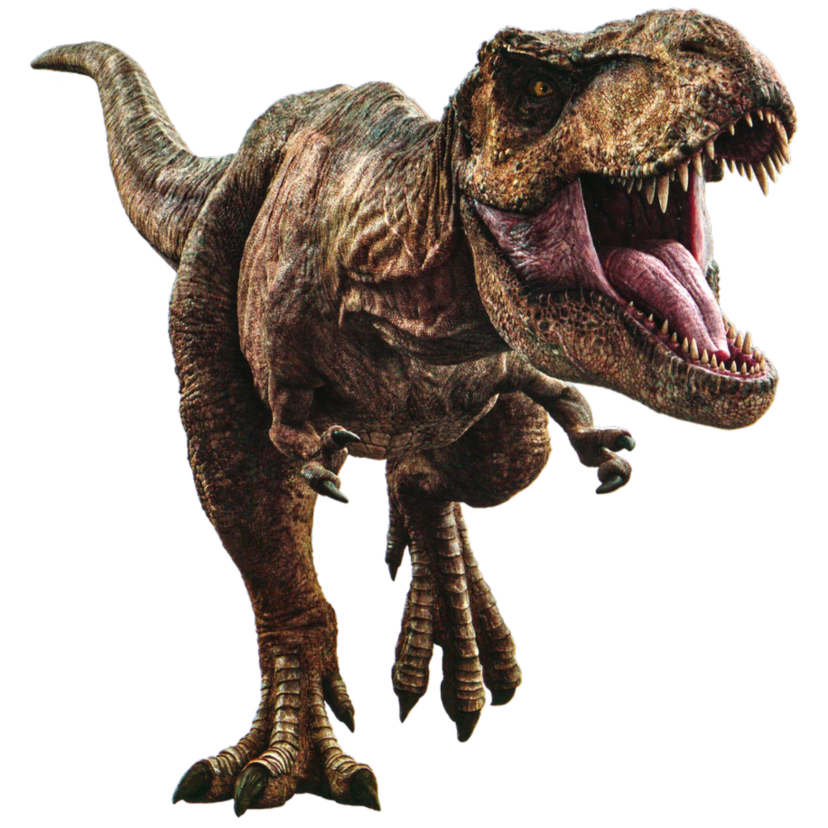 Rexy