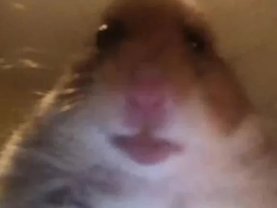 Jumpscare