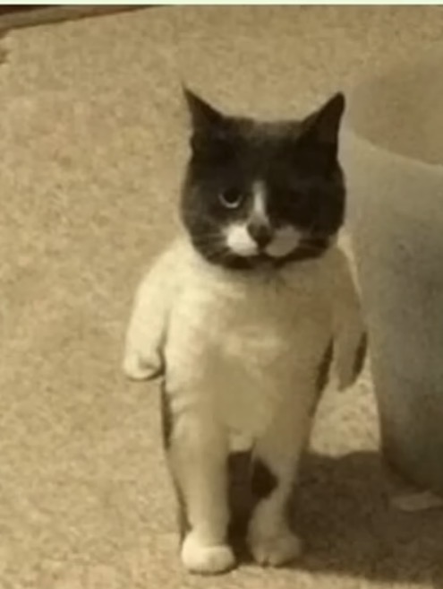 The Destroyer