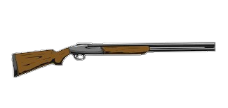 Shotgun