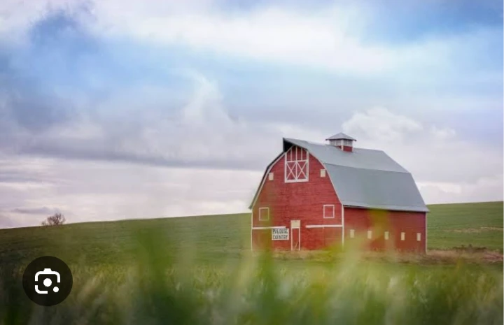 Farm