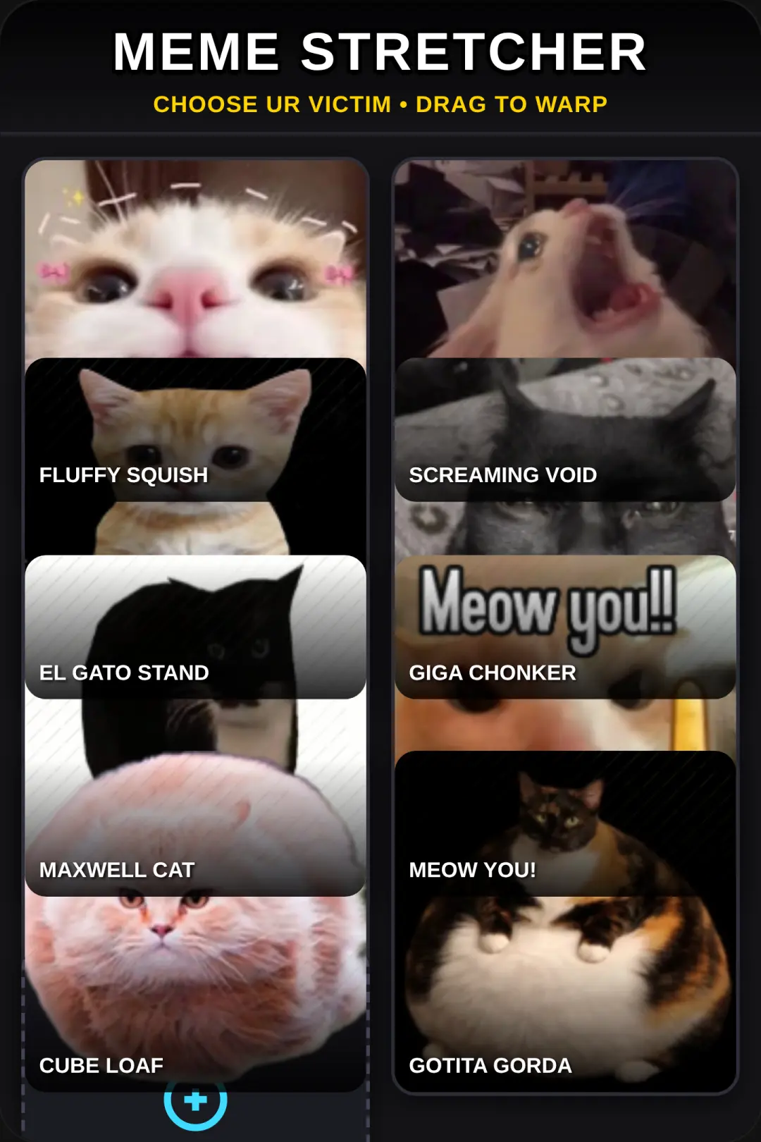 Meme Stretcher cover
