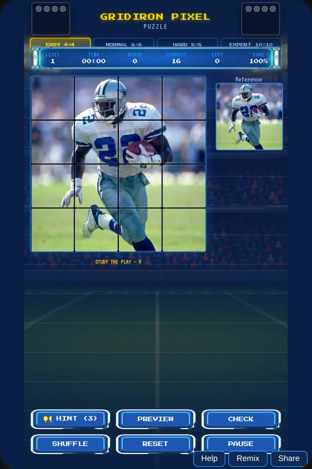 Gridiron Pixel Puzzle cover